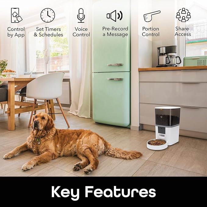 Geeni 6L Smart Pet Feeder - Automatic Cat and Dog Food Dispenser, WiFi Control, Voice Recorder, Battery Backup, Large Capacity, Portion Control - White