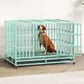 48IN Heavy Duty Dog Crate Steel Escape Proof, Indoor Double Door High Anxiety Cage Removable Tray, Extra Large,Green