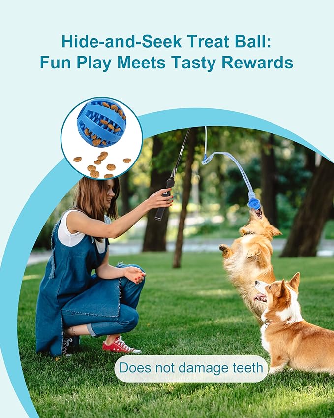 Flirt Pole for Dogs, Durable Dog Flirt Pole for Large Medium & Small Dogs, Interactive Dog Pole Toy with Rubber Ball for Outdoor/Indoor, Training, Chase, Tug of War 31 inch