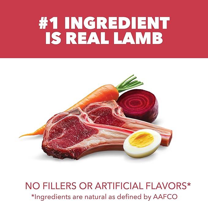 IAMS Proactive Health Minichunks Adult Dry Dog Food with Lamb & Rice, 15 lb. Bag