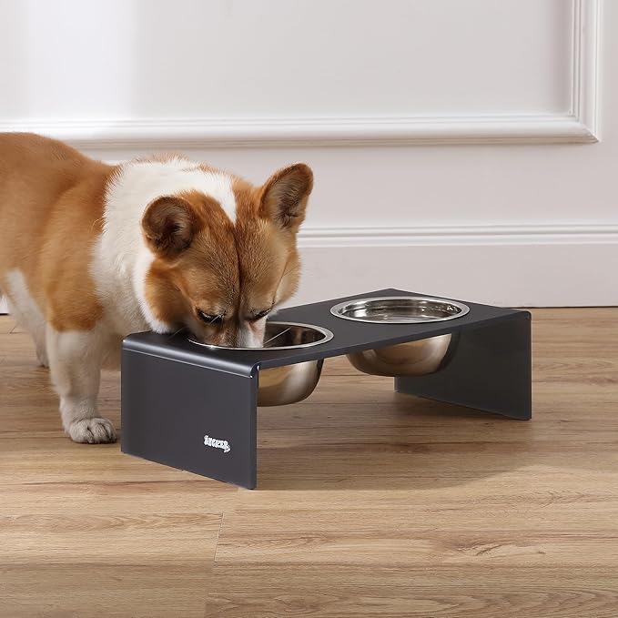 The LICKER Store DBL2000J Keaton 5" Small/Medium Modern Acrylic Rectangular Elevated Pet Feeder with 20oz 2-Stainless Steel Bowls, Dark Gray/Chrome