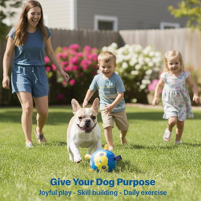 Race&Herd 9" Jolly Soccer Ball for Dogs - Tough Durable Dog Ball Toy with Straps, Pet Bouncy Herding Balls for Dogs, Floating Dog Balls with Tags for Water Fetch, BaaBaaBall (Blue)