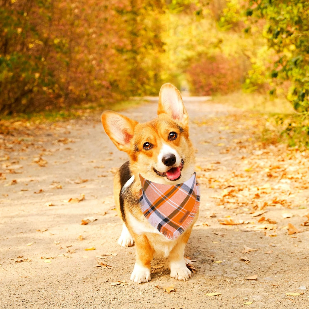 ADOGGYGO Fall Dog Bandanas, Halloween Thanksgiving Pet Bandana, Multiple Sizes Offered, Orange Plaid Fall Holiday Bandana for Medium Large Dogs Pets (Large)