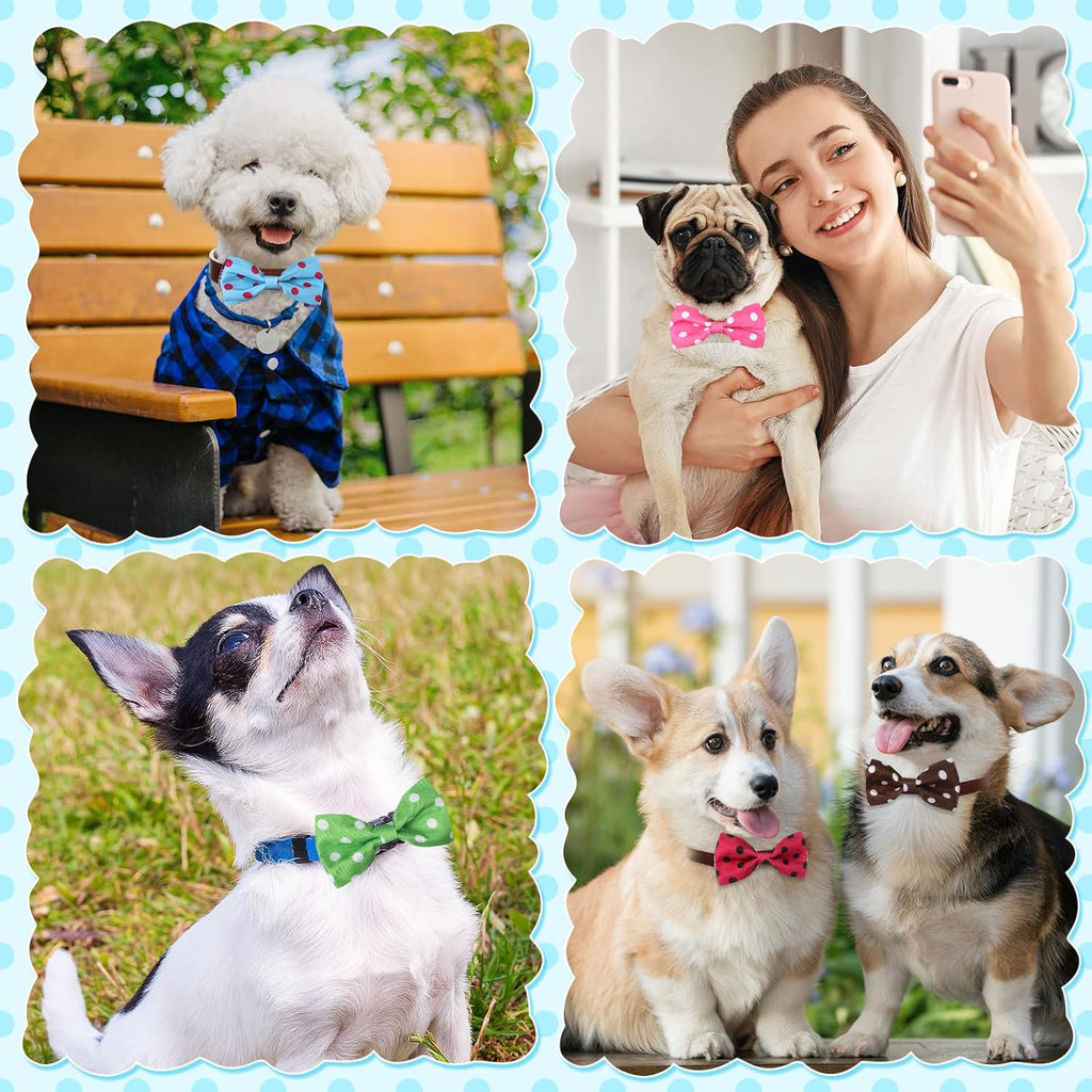 Reginary 50 Pieces Dog Bow Ties Pet Collar Bow Puppy Collar Attachment with Rubber Bands for Small Medium Cat Pet Grooming Charms Accessories Wedding Birthday Occasion (Polka Dot Style)