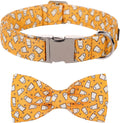 Lionet Paws Halloween Dog Collar with Bowtie - Cute Cotton Adjustable Fall Bowtie Dog Collar with Metal Buckle for Small Medium Large Dog Girl Boy Gift, XL, Neck 16-26in