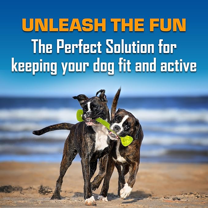 Nerf Dog Toy Gift Set, 3-Piece Set of Outdoor Dog Toys for Tug and Fetch, Includes Spike Squeak Ball, Treat Tug Bone and Exo Squeak Football