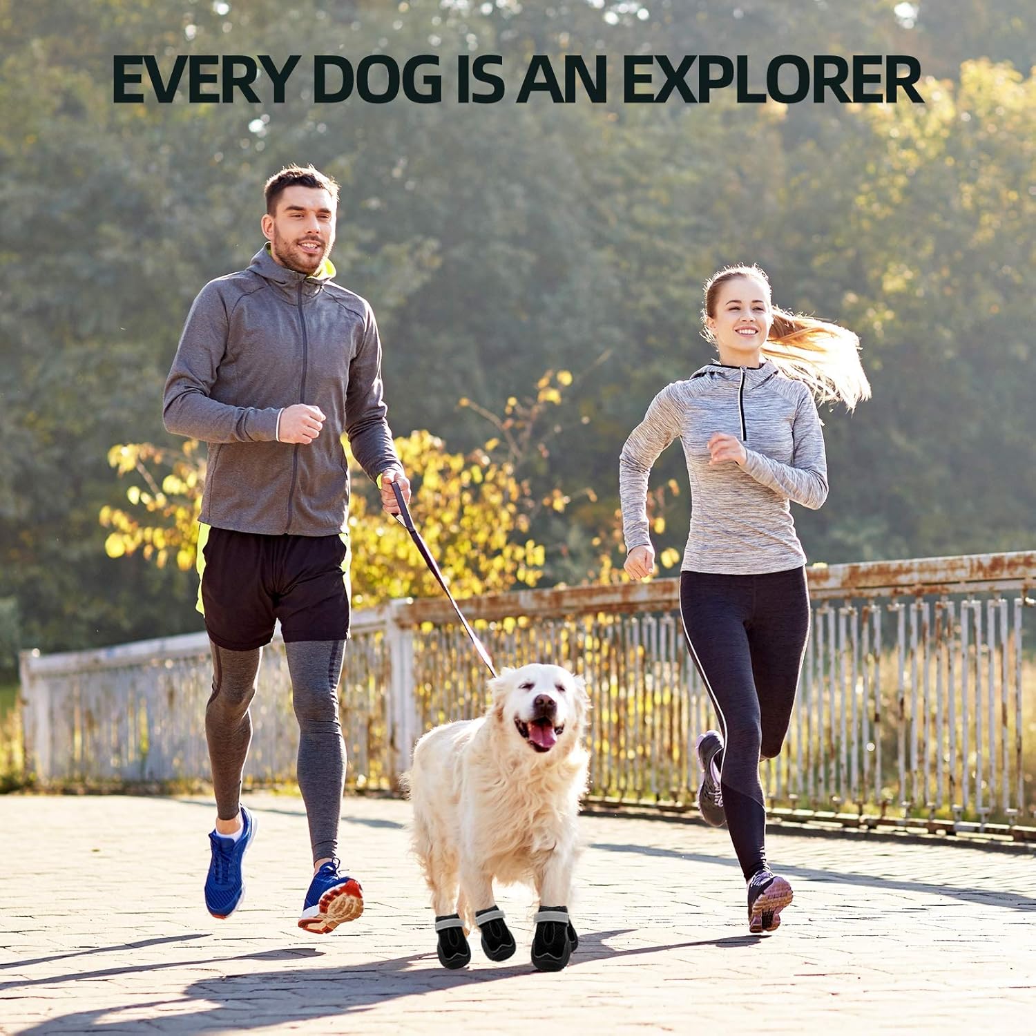 Hcpet Dog Boots for Large Dogs, Dog Shoes for Hot Pavement Winter Snow, Paw Protector Dog Booties Designed for Comfort and Breathability, Outdoor Booties for Small Medium Dogs for Hiking Black Size 5