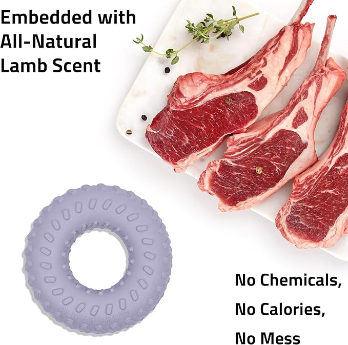 Playology Dog Toys | Dual Layer Ring Durable Chew Toy for Aggressive Chewers | Medium Lamb Scented Toy - Easy to Clean and Made from Non Toxic Materials