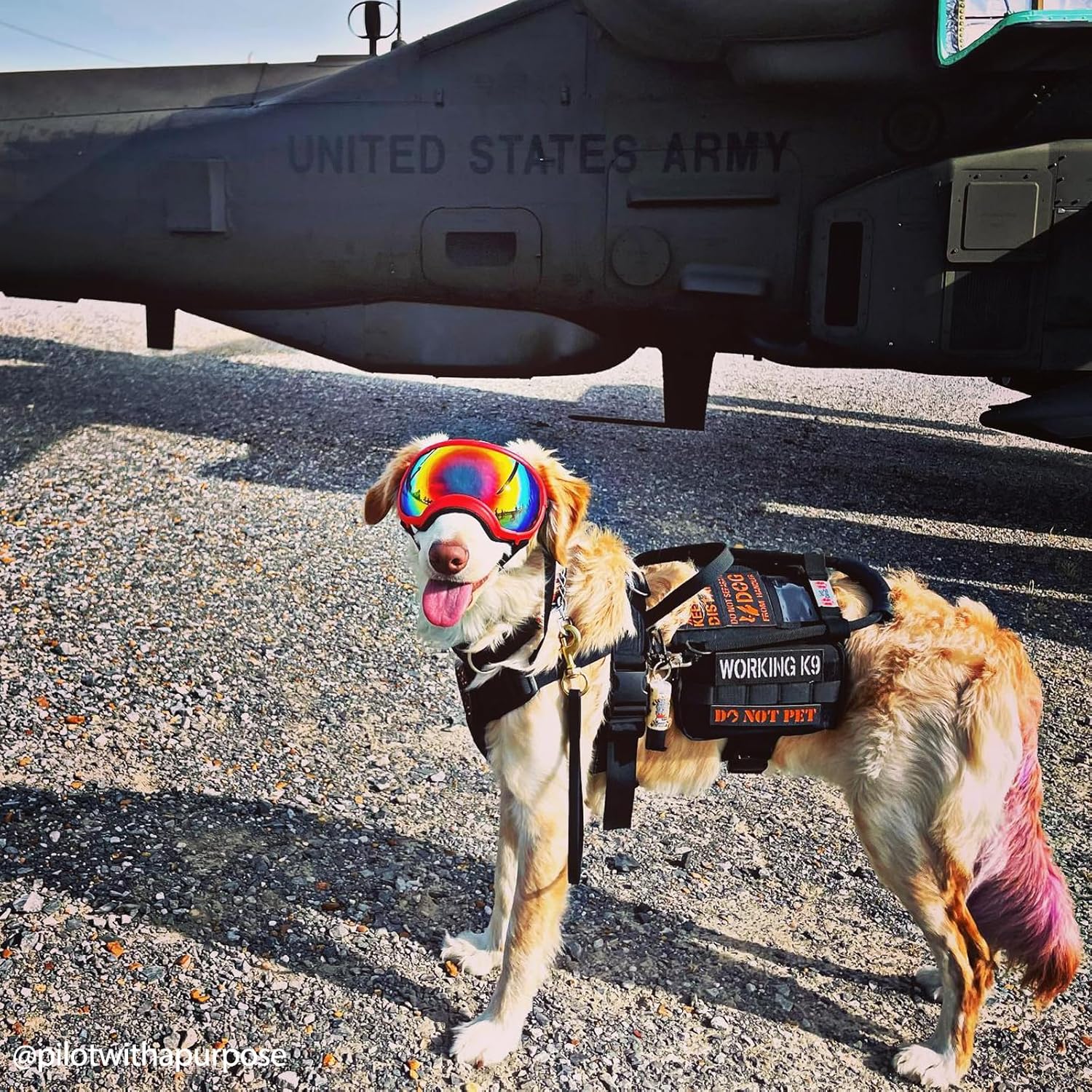 OneTigris Service Dog Vest Harness, Service Dog Cape Guardian Dog Backpack Harness with Pouches Dog Saddle Bag for Small Medium and Large Dogs (Black, M)