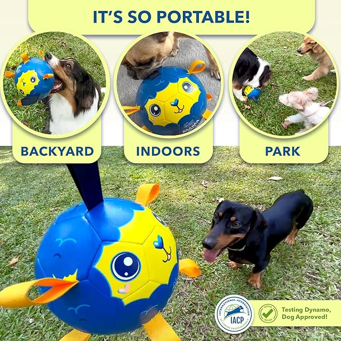 Race&Herd 9" Jolly Soccer Ball for Dogs - Tough Durable Dog Ball Toy with Straps, Pet Bouncy Herding Balls for Dogs, Floating Dog Balls with Tags for Water Fetch, BaaBaaBall (Blue)