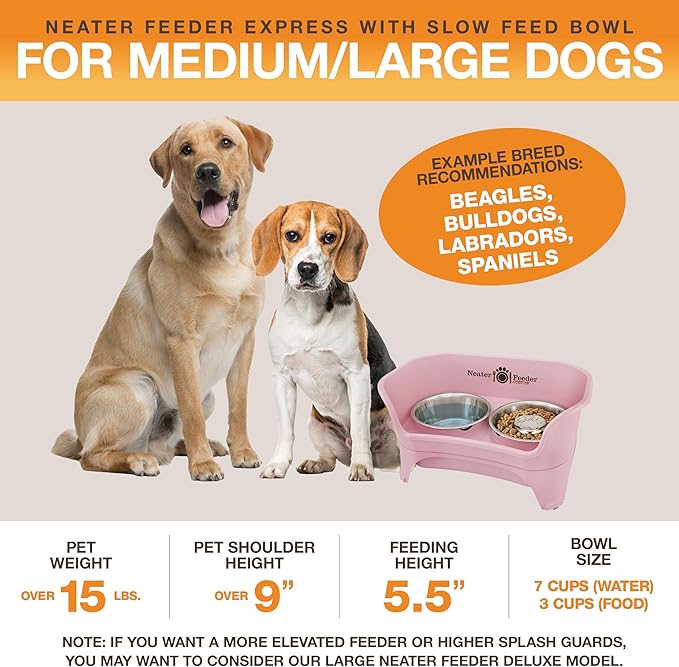 Neater Feeder - Express Model w/Slow Feed Bowl - Mess-Proof Dog Bowls (M/L, Pink) Made in USA – Elevated, No Spill, Non-Tip, Non-Slip, Raised Stainless Steel Food/Water Pet Bowls Aid Digestion