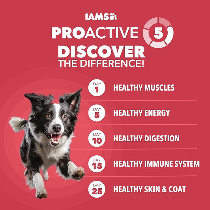 IAMS Proactive Health Minichunks Adult Dry Dog Food with Lamb & Rice, 30 lb. Bag