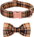 Lionet Paws Halloween Dog Collar with Bowtie - Cute Cotton Adjustable Fall Bowtie Dog Collar with Metal Buckle for Small Medium Large Dog Girl Boy Gift, XXS, Neck 7-11in