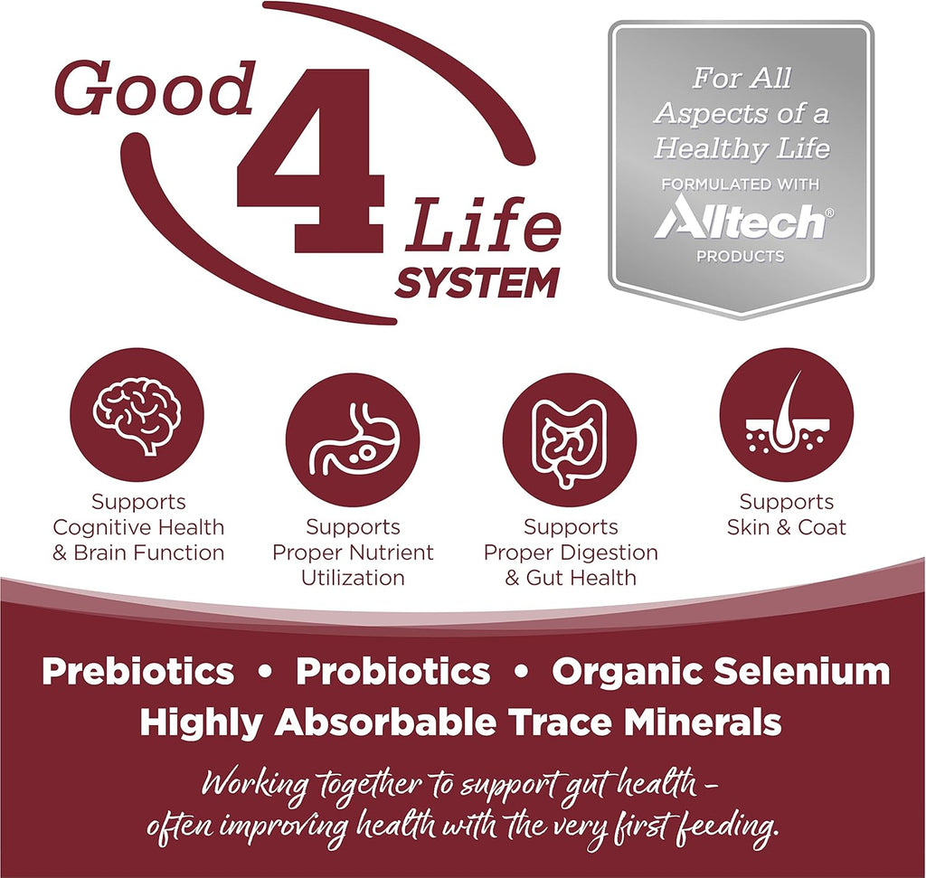 NutriSource Dog Food, Made with Beef and Brown Rice, Wholesome Grains, 5LB, Dry Dog Food