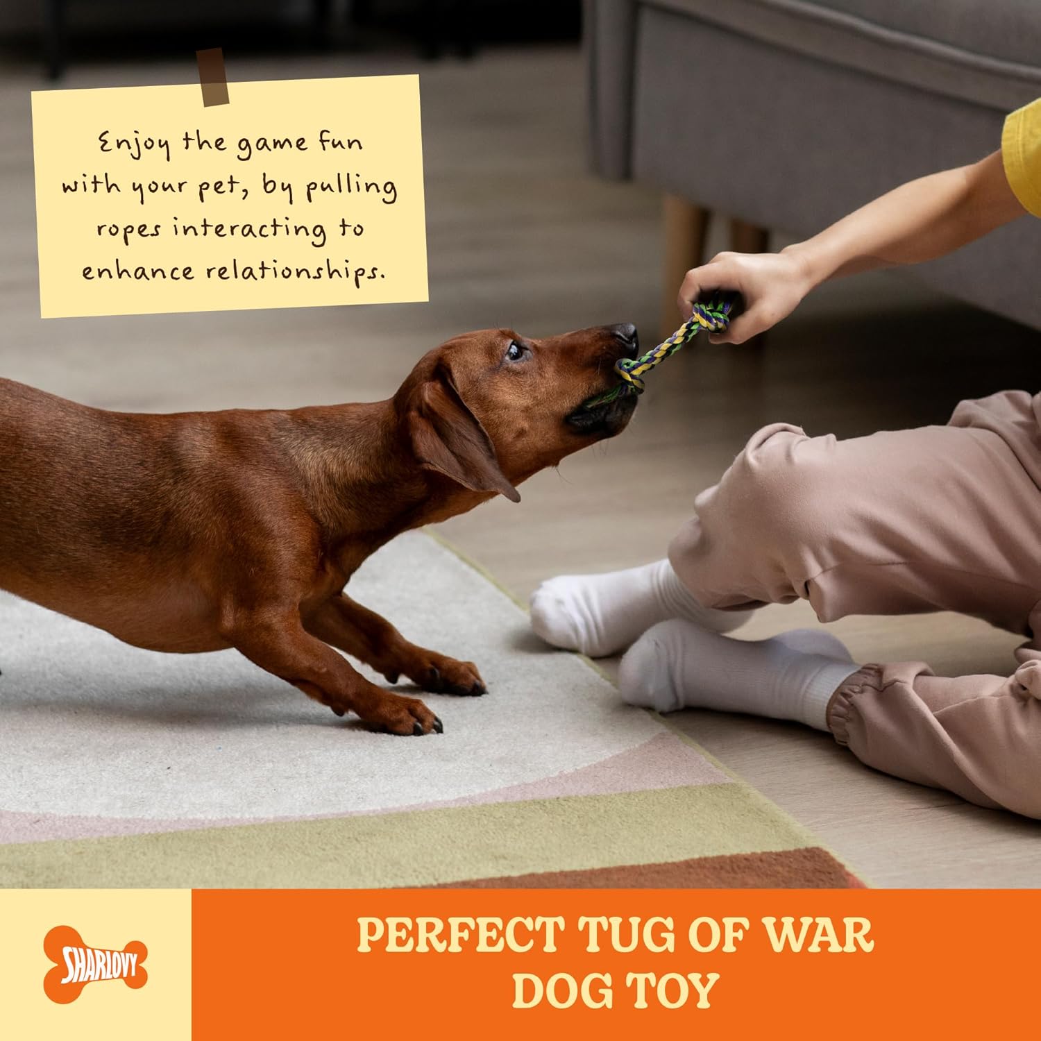 Puppy Teething Toys for Small Dogs, 5 Pack Cotton Puppy Dog Rope Toy for Small Dogs, Durable Dog Chew Toys for Aggressive Chewers Small Breed, Interactive Tug of War Puppy Toys to Keep Them Busy