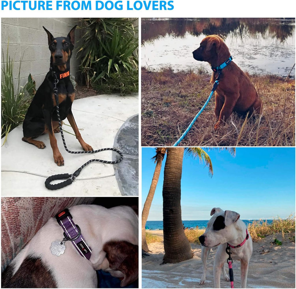 Heavy Duty Dog Leash - Comfortable Padded Handle, 5 ft Long - Dog Leashes for Small Medium Large Dogs (Leash+Collar XS Neck 10.5"-13.5", Purple)