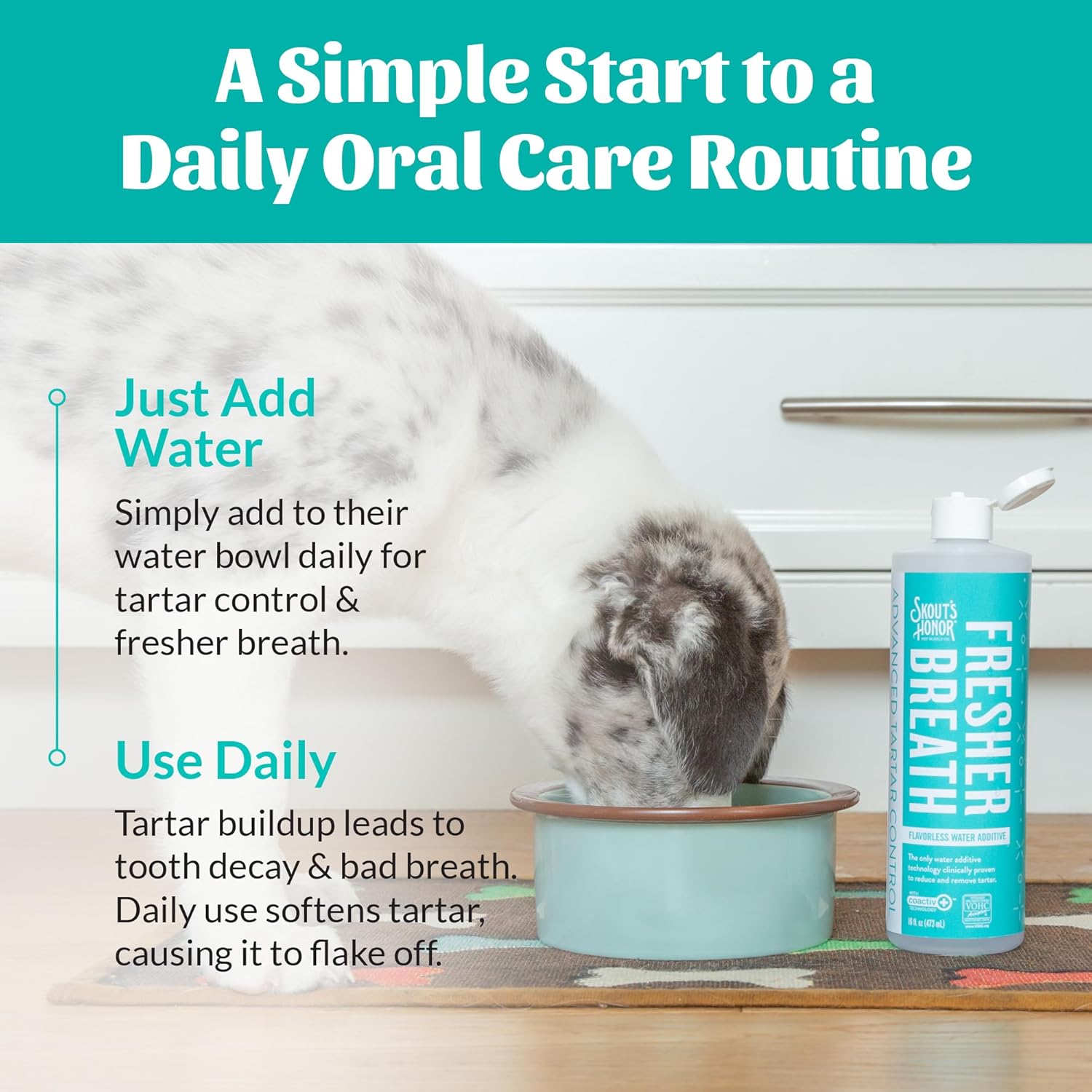 SKOUT'S HONOR Fresher Breath Water Additive for Pets - VOHC Accepted for Tartar Control, Freshens Breath Fast, No Brushing Required: Fresh & Flavorless 16oz - 3 Pack