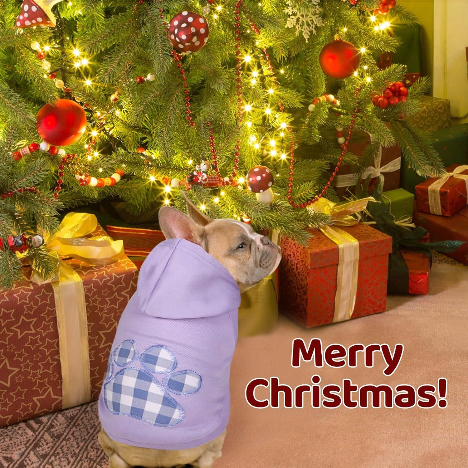 SAWMONG Dog Hoodie,Flannel Pet Hooded Sweater with Hat Puppy Pullover Sweater Shirt,Dog (Purple,M)