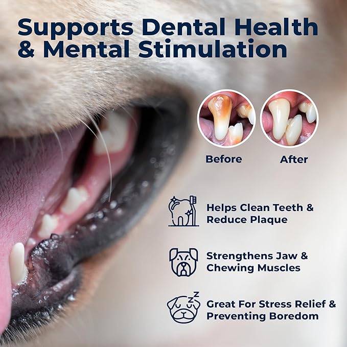 Pacific Pups Products Large Dog Rope Toy for Large Dogs - 23.5" Dog Tug of War Toy - Durable Big Pull Rope for Aggressive Chewers & Teething Puppies