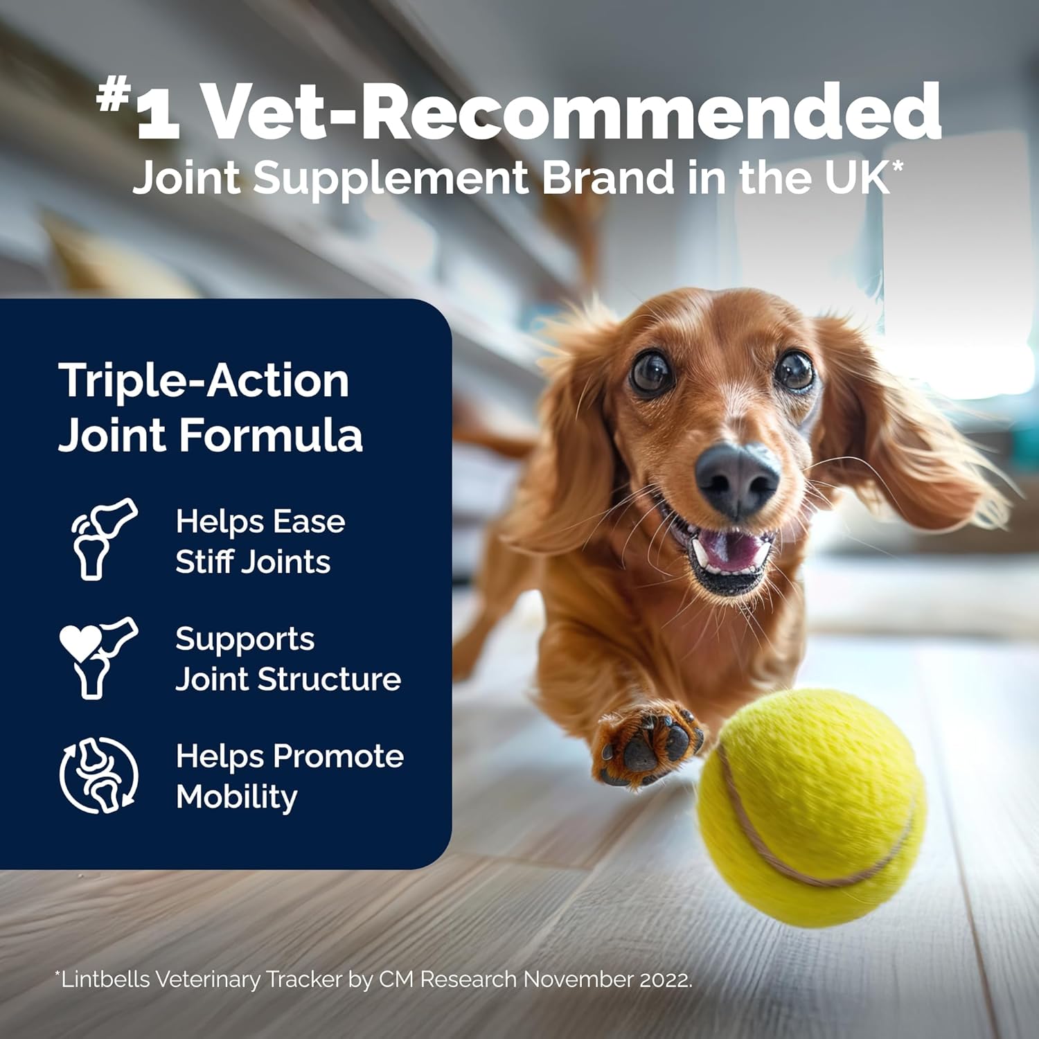 YuMOVE Hip & Joint Supplement for Dogs with Glucosamine, Hyaluronic Acid, Green Lipped Mussel & Omega 3 Joint Supplement - Regular or Advanced Strength (60ct, Chewable Tablets)