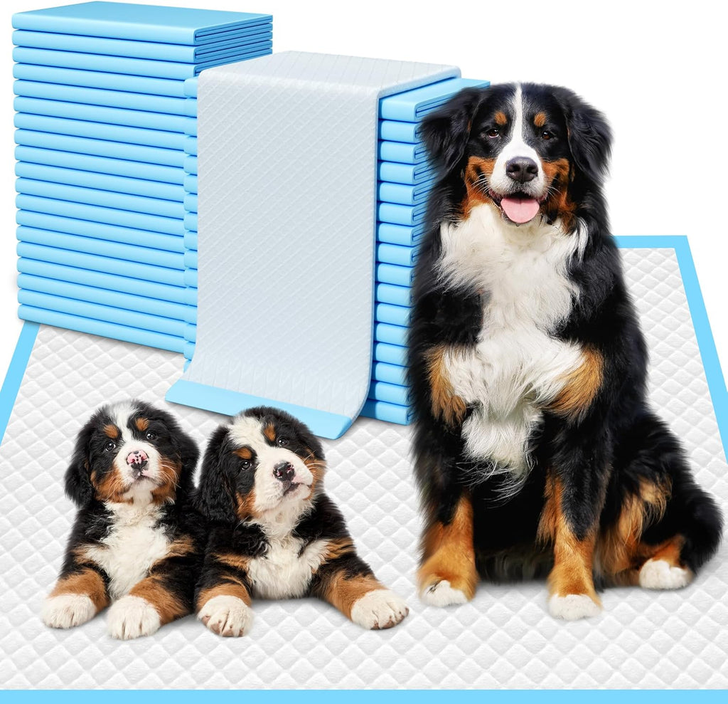 Extra Large Puppy Pads 28" x 34"-30 Count, Super Absorbent Dog Pee Pads Quick Drying Leak-Proof X-Large Dog Training Pads Disposable Training Pads for Dogs Puppies Cats