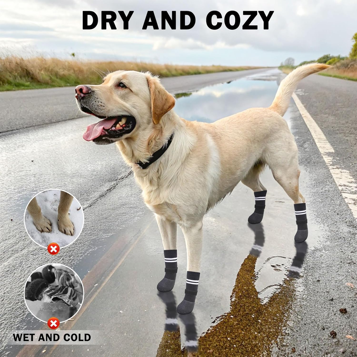 SCENEREAL Anti Slip Dog Boots & Paw Protectors for Hardwood Floor, Extended Dog Socks to Prevent Licking Paws, Waterproof Pet Snow Rain Shoe for Winter Small Puppy Senior Dogs, Black S