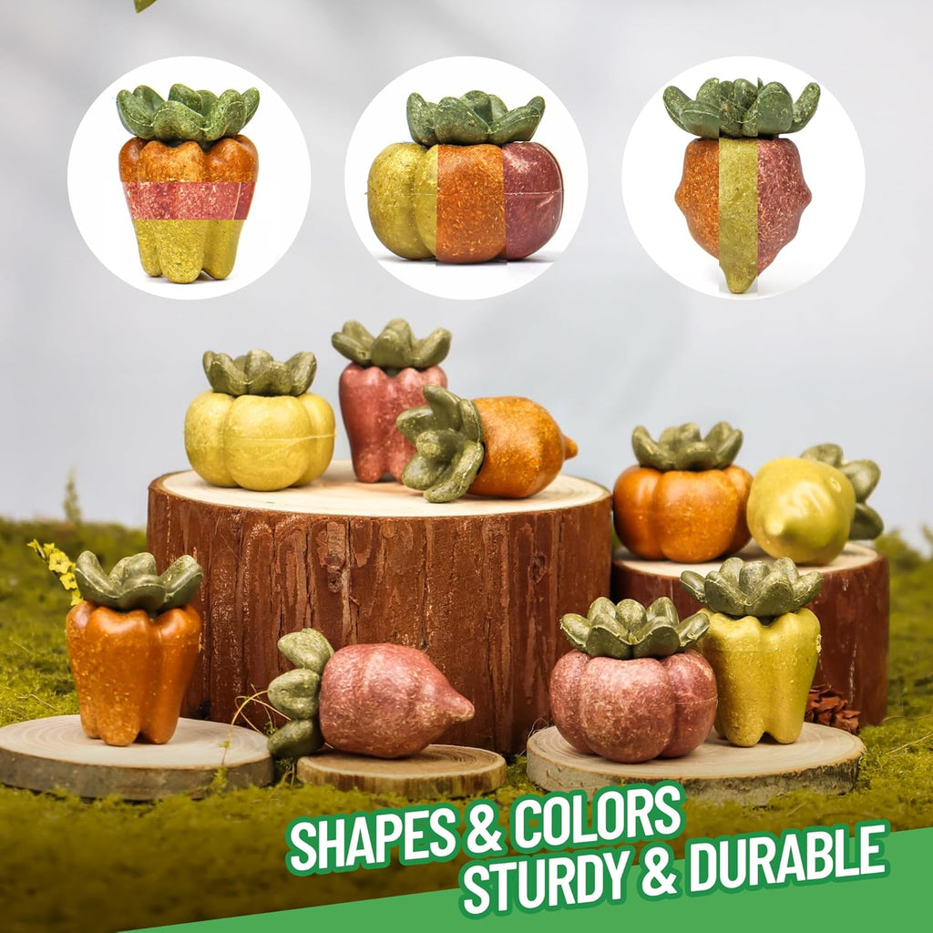 TEEWY Guinea Pig Chew Toys, Natural Vegetables and Timothy Grass, Hamster Chew Toys, Prevents Excessive Tooth Growth in Chinchillas, Gerbils, Hamsters, and Rabbits, Fruits & Vegetables Set