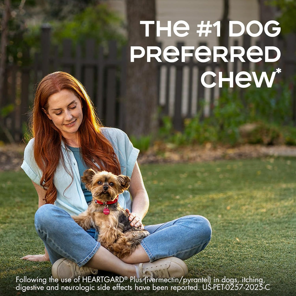 HEARTGARD® Plus (ivermectin/pyrantel) Real-Beef Chewables for Dogs up to 25 lbs (Blue Box) 1 Month Supply of Chews (Heartworm Disease Preventive)