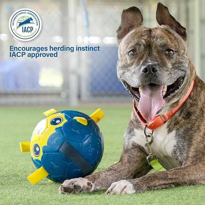 Race&Herd 9" Jolly Soccer Ball for Dogs - Tough Durable Dog Ball Toy with Straps, Pet Bouncy Herding Balls for Dogs, Floating Dog Balls with Tags for Water Fetch, BaaBaaBall (Blue)