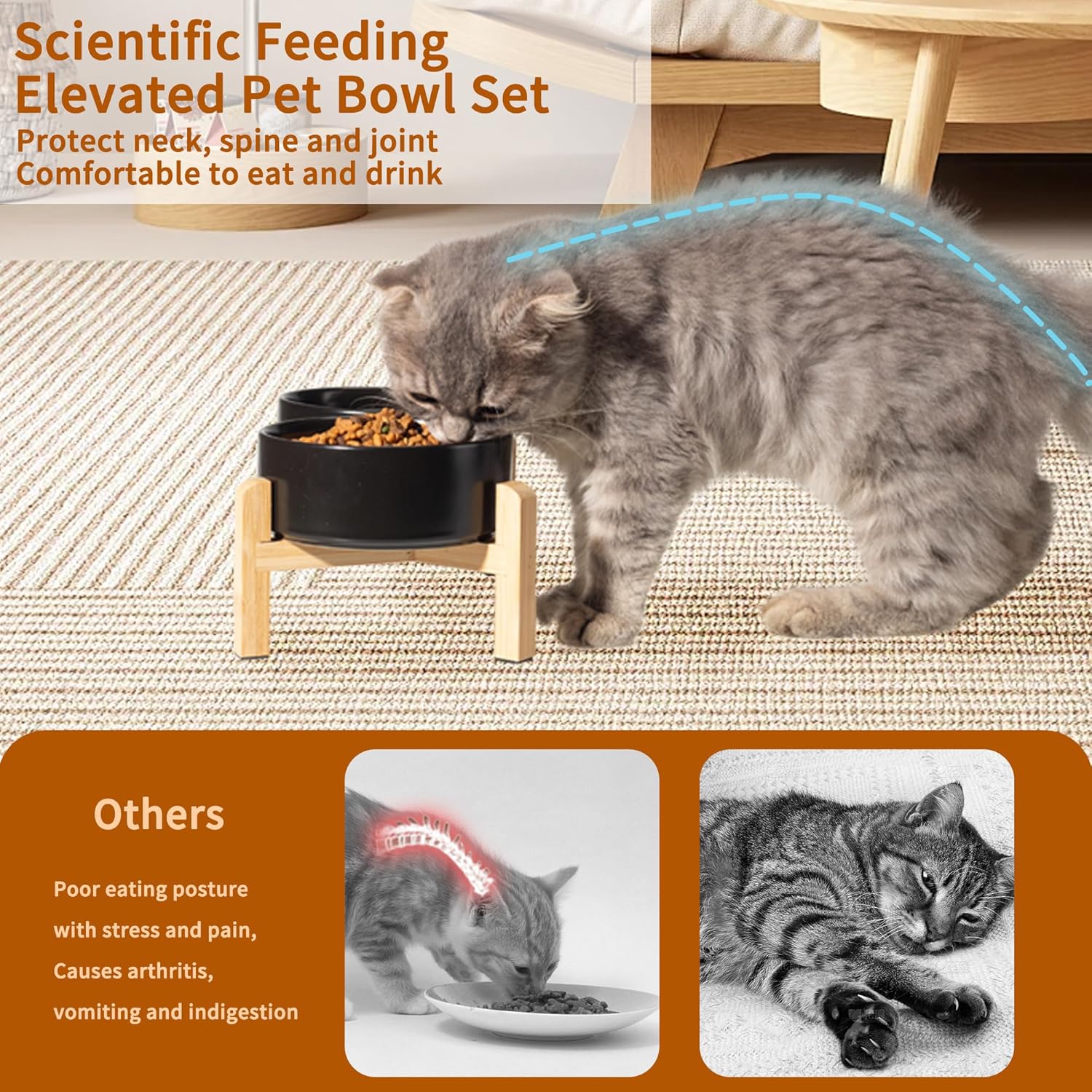 Elevated Ceramic Dog Bowl Set - Raised Feeding Bowls with Non-Slip Bamboo Stand - Small Pet Dishes for Food and Water - Ideal for Cats and Puppies - 16.23 OZ - 2 Cups - 480 ML