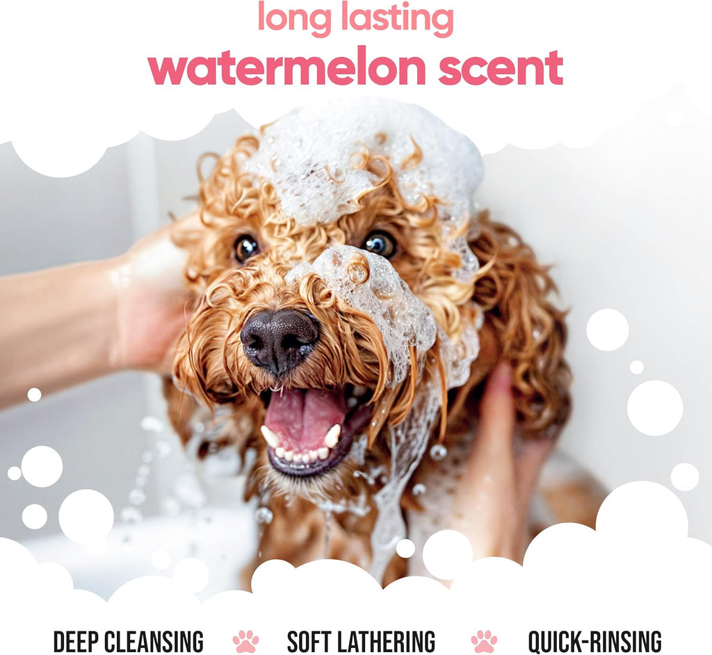 Watermelon Dog Shampoo by Buddycare | Deep Cleansing Shampoo for Dogs | Fresh Scented | with Aloe Vera and Pro Vitamin B5 (169.07oz)