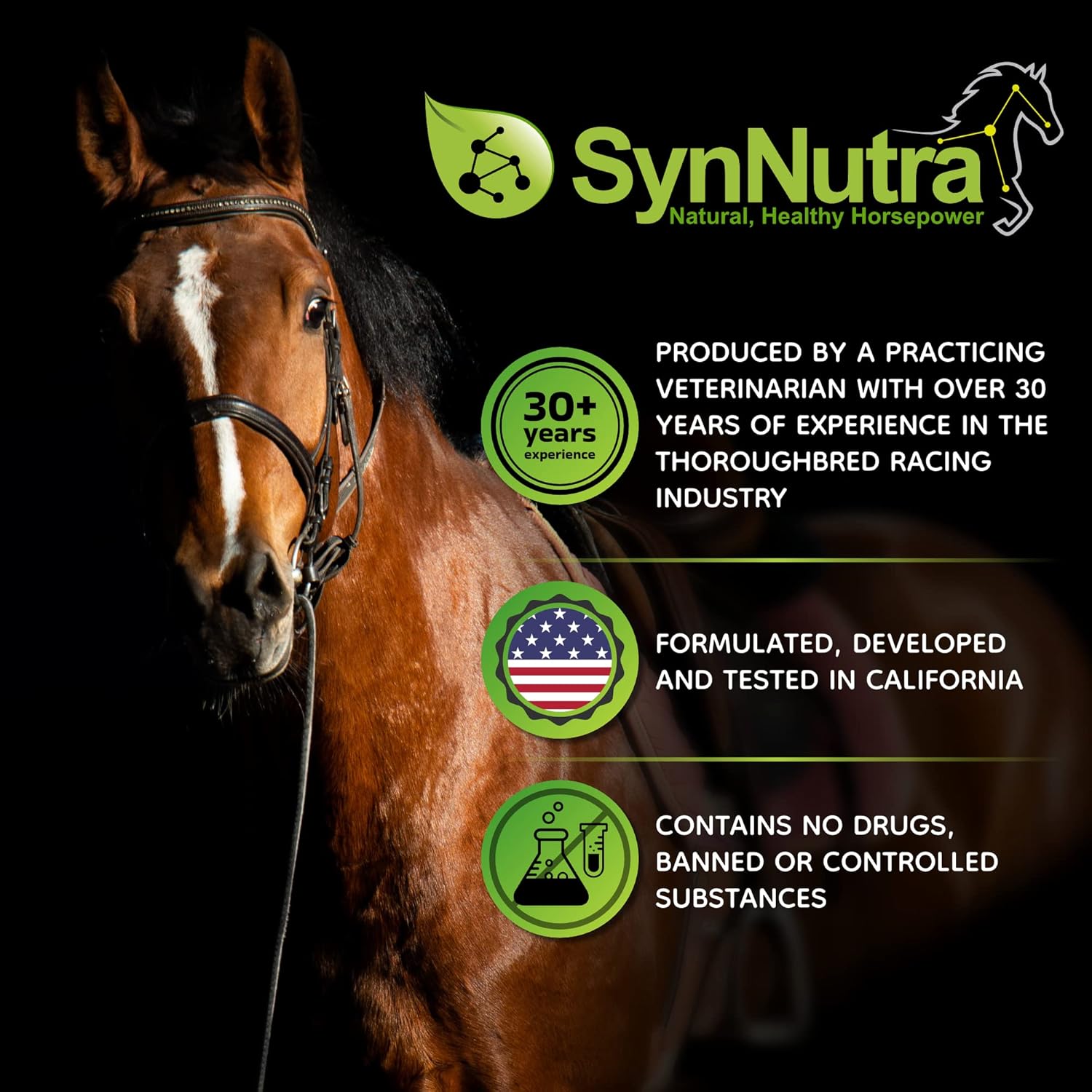 SynChill Oral Horse Calming Gel, 100% Natural & Nutritional Supplement, Lab Proven Results, Designed for Peak Focus & Performance, Approved by Veterinarians, FEI Compliant & Made in USA - 12-Pack