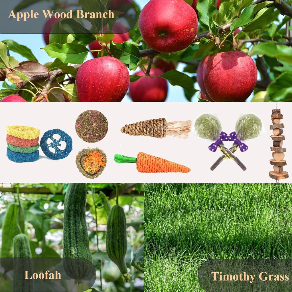Grddaef 18 PCS Bunny Toys, Rabbit Toys Guinea Pig Toy Natural Apple Wood Grass Timothy Sticks Chew and Treat for Guinea Pigs Hamster Chinchillas