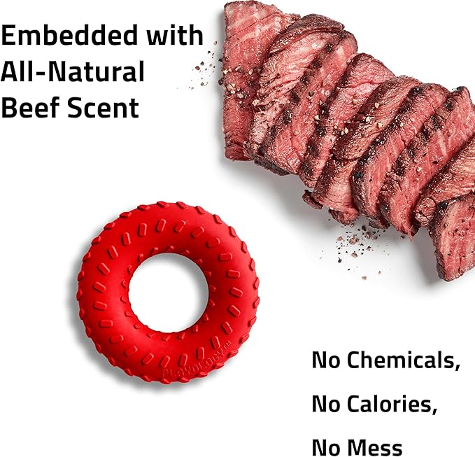 Playology Dog Toys | Dual Layer Ring Durable Chew Toy for Aggressive Chewers | Jumbo Beef Scented Toy - Easy to Clean and Made from Non Toxic Materials