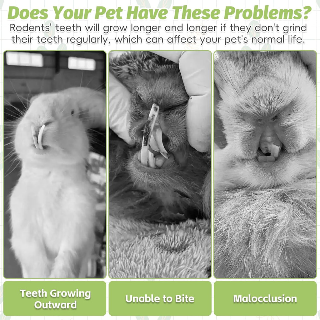 Fhiny 24 PCS Rabbit Chew Sticks, Natural Papaya Wood Seagrass Guinea Pig Chew Toys for Teeth Small Animal Molar Sticks Snacks for Bunny Guinea Pig Chinchilla Ferret Hamster Gerbil Dental Care