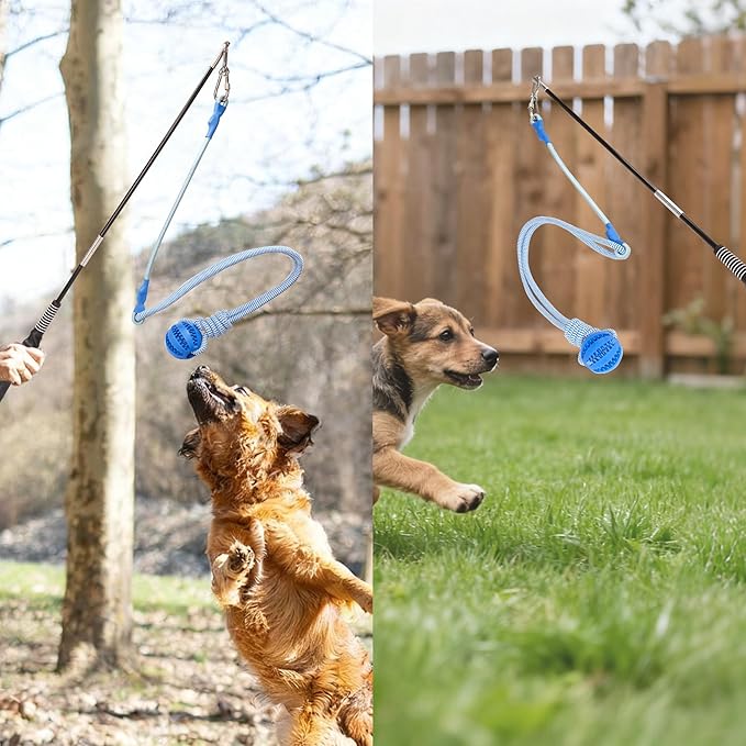 Flirt Pole for Dogs, Durable Dog Flirt Pole for Large Medium & Small Dogs, Interactive Dog Pole Toy with Rubber Ball for Outdoor/Indoor, Training, Chase, Tug of War (24 & 31 inch)