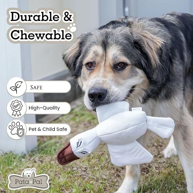 2pc Sustainable Eco-Friendly Durable Cotton Canvas Squeaky Dog Chew Toy Set – Ducky & Dawgy, White (Safe for Pets/Kids)