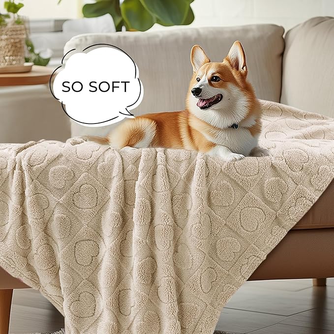 Luciphia Small Dog Blanket Washable Pet Bed Cover Soft Fluffy Puppy Blanket with Premium Fleece 300GSM Cozy Calming Cat Blankets for Indoor Cats Beige 57x40 inch