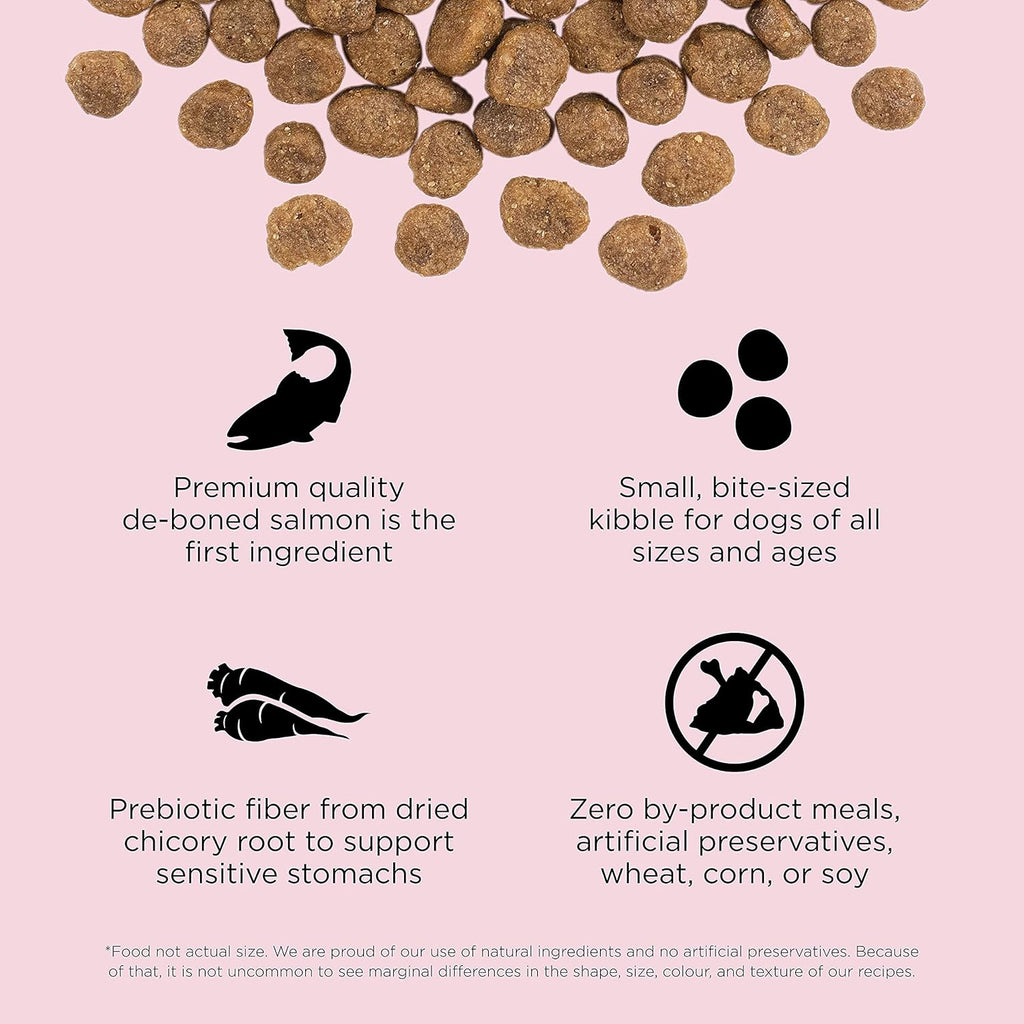 Go! Solutions Sensitivities Limited Ingredients, Grain-Free Dry Dog Food, Small Bites Salmon Recipe for Sensitive Stomach, 6 lb Bag