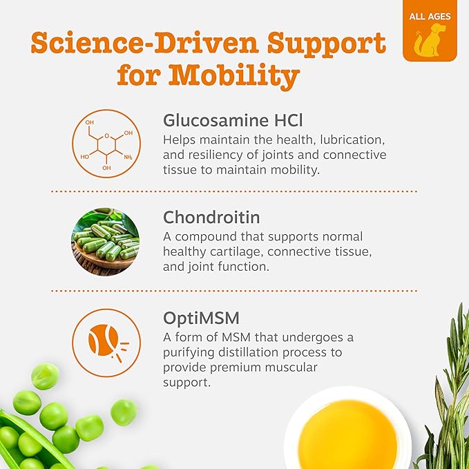 Zesty Paws Hip and Joint for Dogs, Glucosamine for Dogs Hip and Joint Supplement with Chondroitin, MSM, Vitamins C & E - Bacon, 50 Count