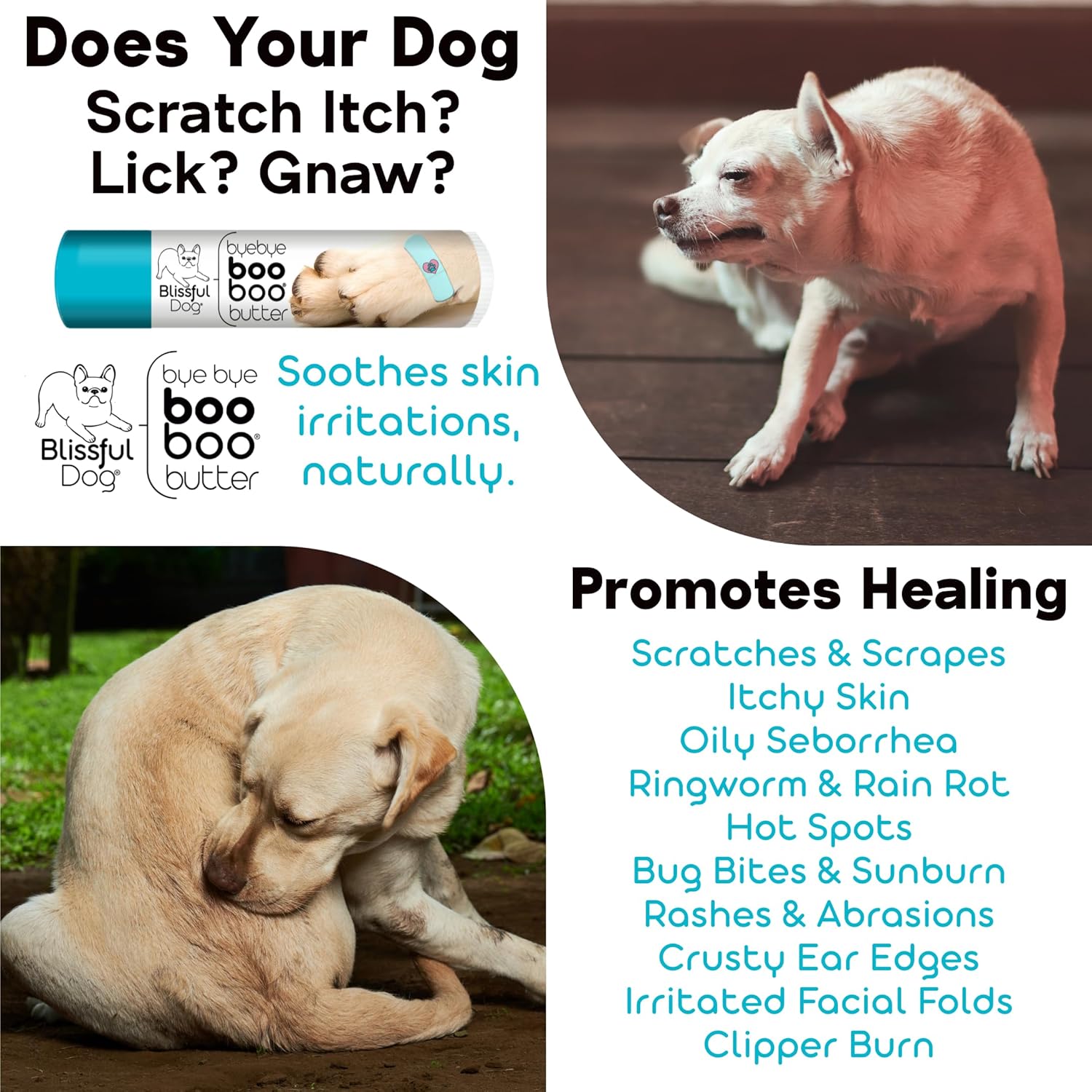 The Blissful Dog 4 oz TIN Husky Booboo Butter