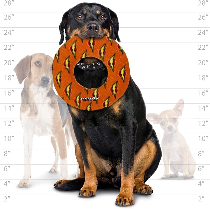 MIGHTY- NO Stuff Ring - Squeaky Plastic Core. 2-in-1 Toy. Made Durable, Strong & Tough. Interactive Play (Tug, Toss & Fetch). It Floats (Orange, Large 2 Pack)