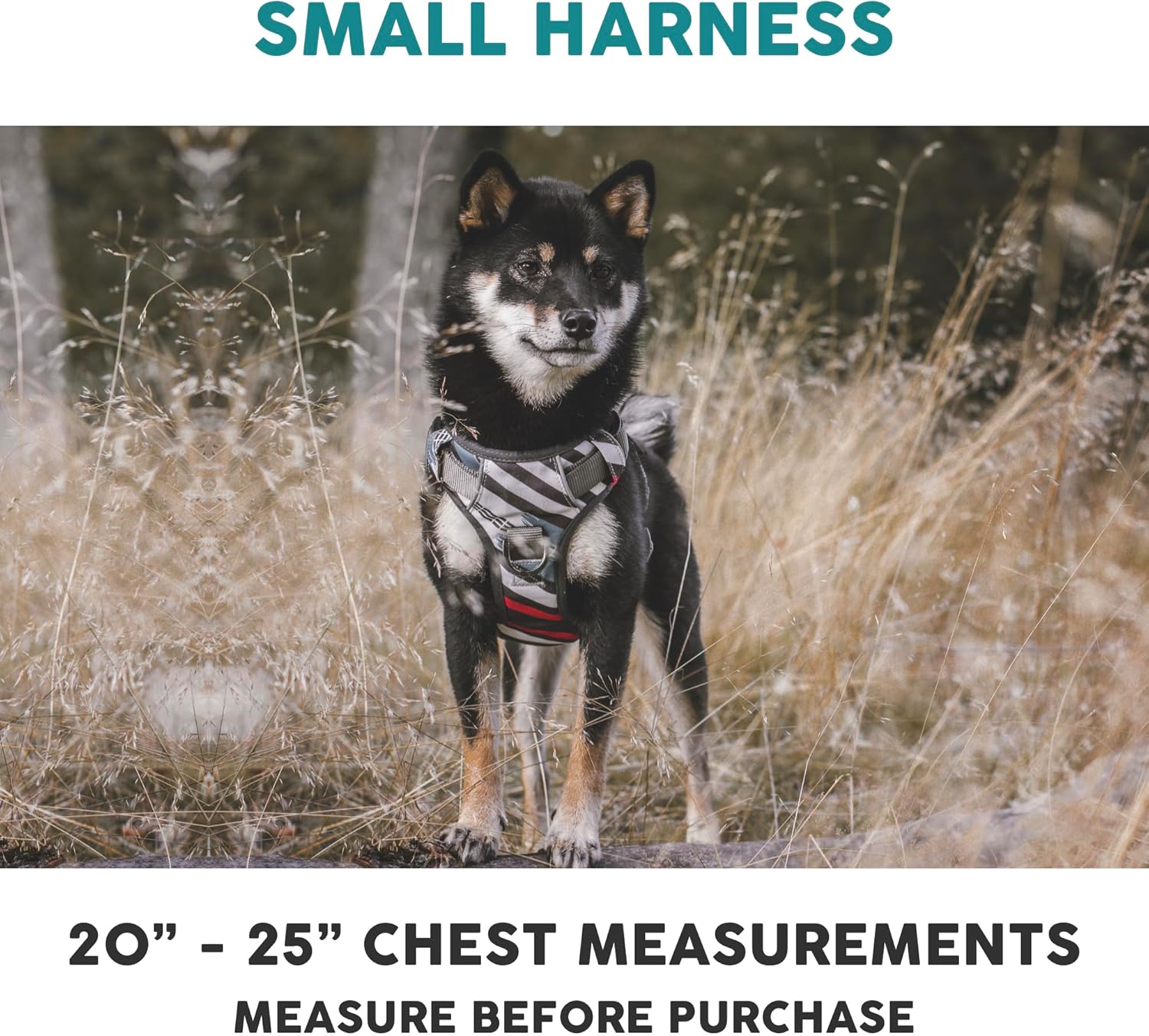 Embark Adventure Dog Harness, Reflective Trim No Pull Dog Harnesses for Small Sized Dogs - Military Grade Nylon, Front Clip with Gel Lined Handle.