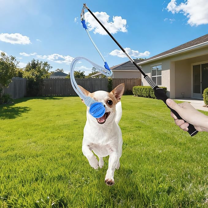 Flirt Pole for Dogs, Durable Dog Flirt Pole for Large Medium & Small Dogs, Interactive Dog Pole Toy with Rubber Ball for Outdoor/Indoor, Training, Chase, Tug of War 24 inch