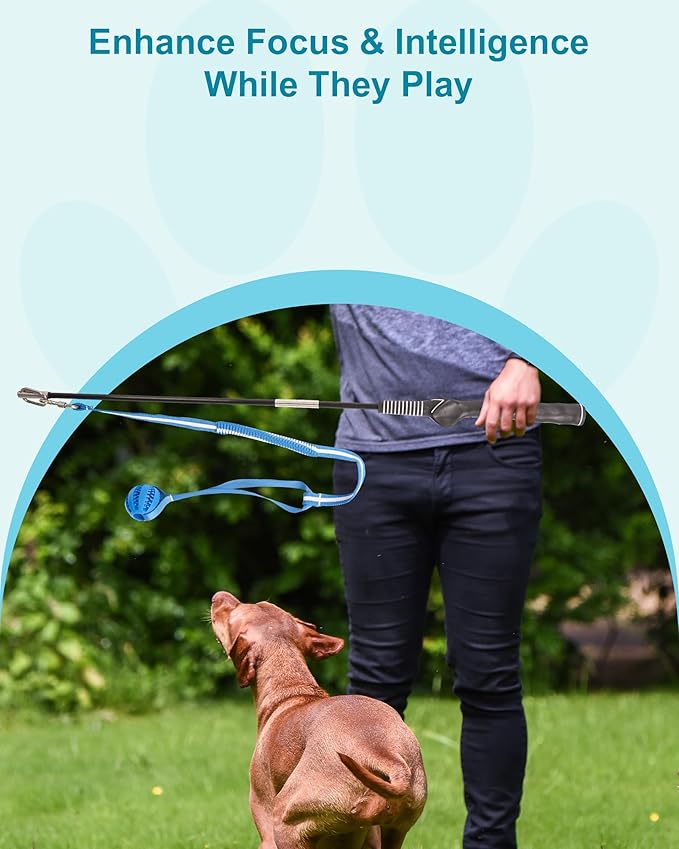 Flirt Pole for Dogs, Durable Dog Flirt Pole for Large Medium & Small Dogs, Interactive Dog Pole Toy with Rubber Ball for Outdoor/Indoor, Training, Chase, Tug of War 31 inch