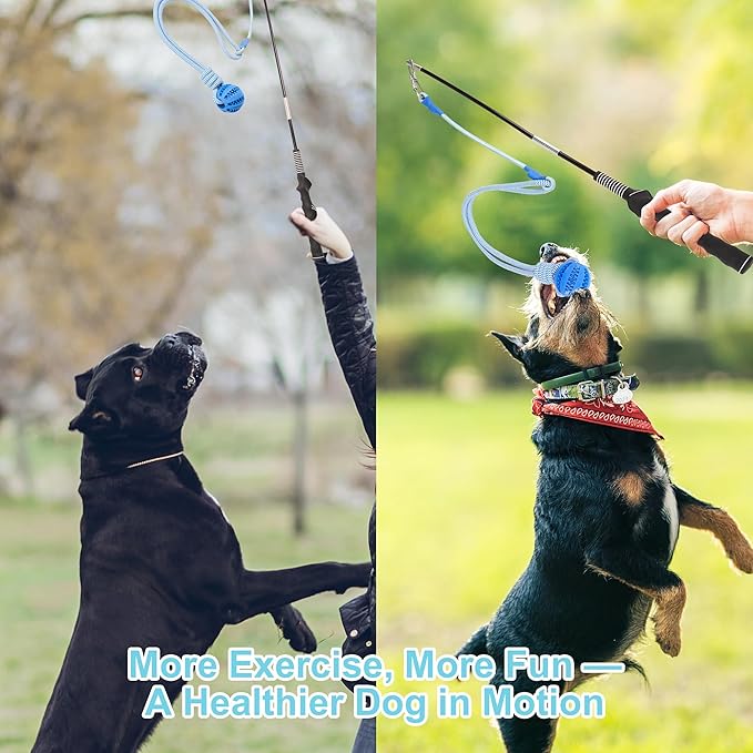 Flirt Pole for Dogs, Durable Dog Flirt Pole for Large Medium & Small Dogs, Interactive Dog Pole Toy with Rubber Ball for Outdoor/Indoor, Training, Chase, Tug of War (24 & 31 inch)