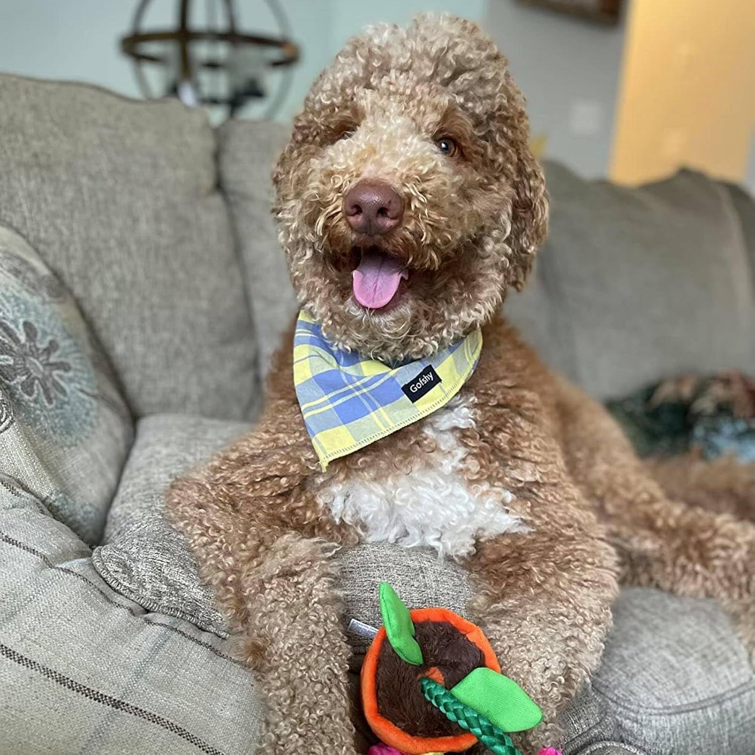 Summer Dog Bandana Small-Dog Scarf Vibrant Color Yellow Blue Plaid Printing Adjustable Bib Handkerchief Accessories for Small Dogs Cats (S)