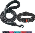 Heavy Duty Dog Leash - Comfortable Padded Handle, 5 ft Long - Dog Leashes for Small Medium Large Dogs (Leash+Collar XS Neck 10.5"-13.5", Black)