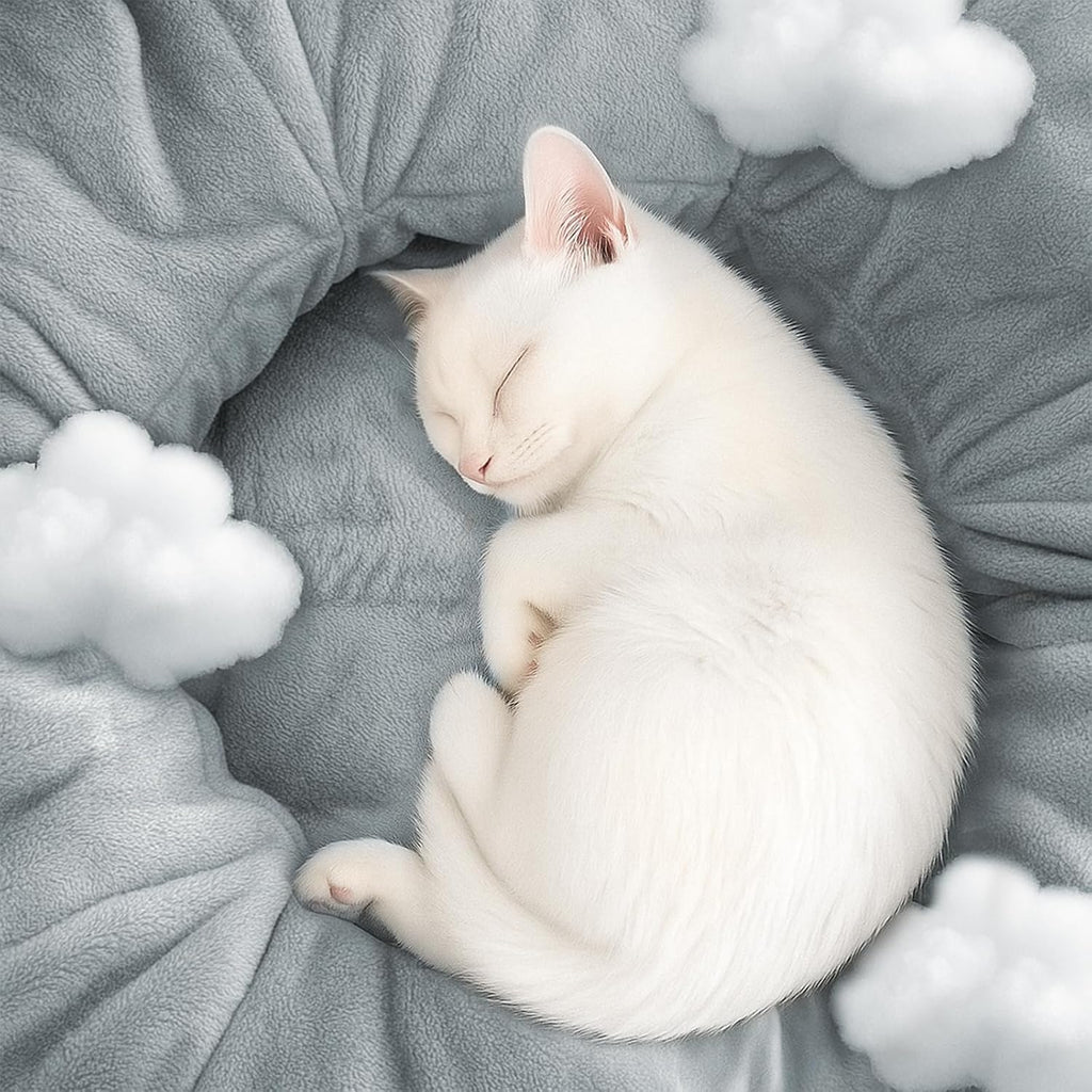 Cat Tunnel Bed for Indoor Cats, Peekaboo Cat Cave Bed,Soft Cat Donut Tunnel for Kitten Large Cats, Cute Green Octopus Shaped