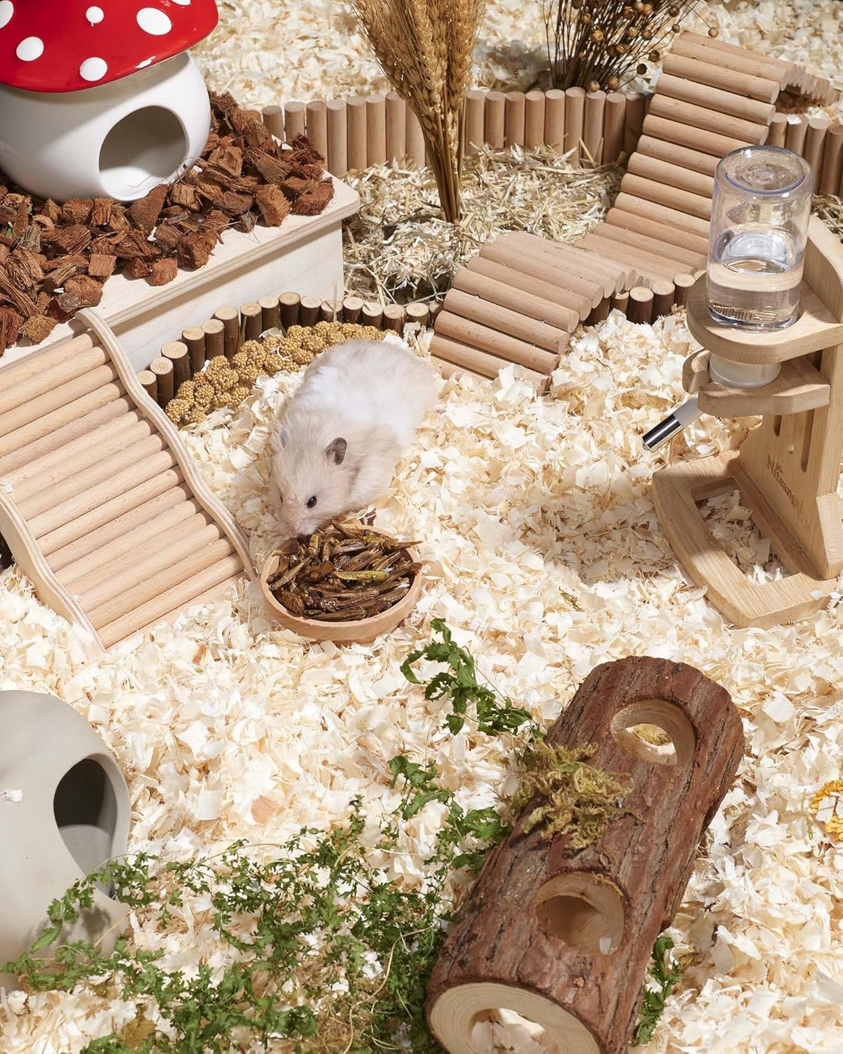 Niteangel Small Animal Snack & Treats - Small Critter Natural Treat for Dwarf Syrian Hamsters Gerbils Mice Sugar Glider Hedgehogs Chickens Birds (Freeze-Dried Grasshopper)